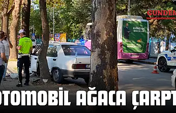 Otomobil Ağaca Çarptı