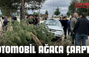 Otomobil Ağaca Çarptı