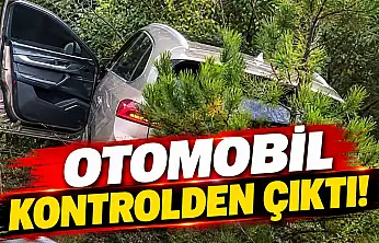 Otomobil Kontrolden Çıktı!