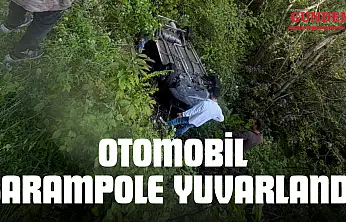 Otomobil Şarampole Yuvarlandı: 2 Yaralı!