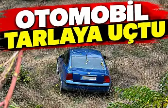 Otomobil Tarlaya Uçtu