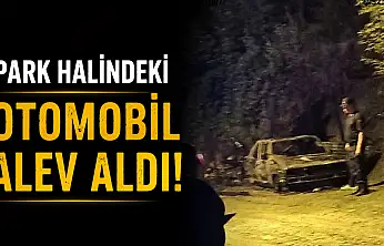 Park Halindeki Otomobil Alev Aldı