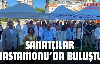 Sanatçılar Kastamonu'da Buluştu, Eserler Sergilendi