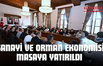 Sanayi Ve Orman Ekonomisi Masaya Yatırıldı