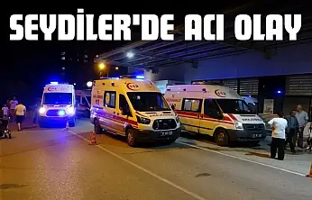 Seydiler'de Acı Olay