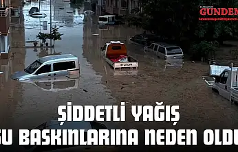 Şiddetli Yağış Su Baskınlarına Neden Oldu, Ekipler Harekete Geçti