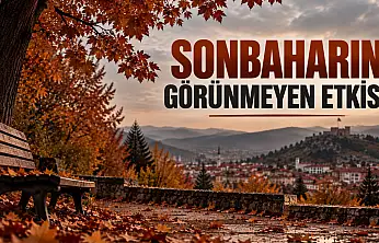 Sonbaharın Görünmeyen Etkisi
