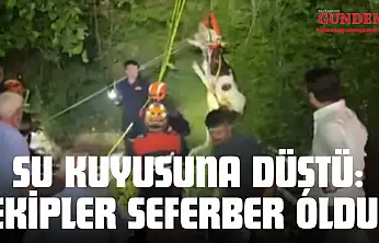 Su Kuyusuna Düştü: Ekipler Seferber Oldu!