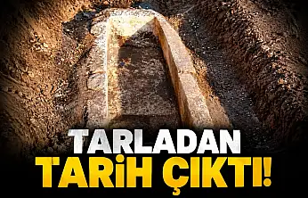 Tarladan Tarih Çıktı!