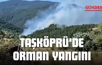 Taşköprü'de Orman Yangını