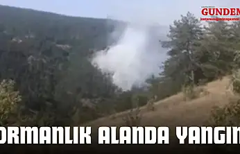 Taşköprü'de Orman Yangını