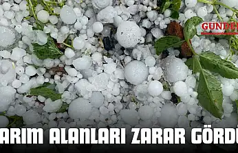 Taşköprü'de Tarım Alanları Zarar Gördü