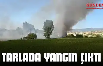 Taşköprü'de Tarlada Yangın Çıktı!