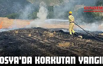 Tosya'da Korkutan Yangın