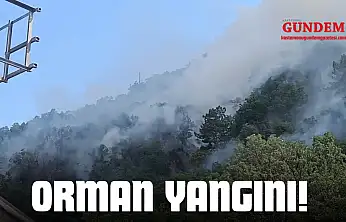 Tosya'da Orman Yangını!