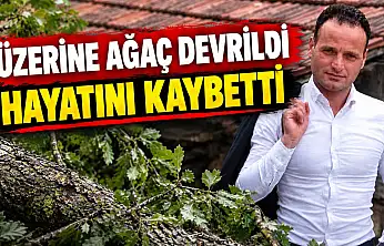 Üzerine Ağaç Devrildi, Hayatını Kaybetti