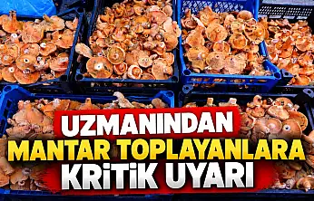 Uzmanından Mantar Toplayanlara Kritik Uyarı