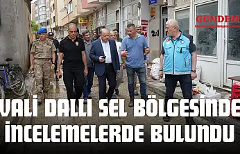 Vali Dallı Selin Vurduğu İlçeye Gitti