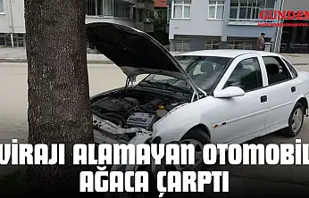 Virajı Alamayan Otomobil Ağaca Çarptı