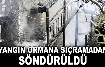 Yangın Ormana Sıçramadan Söndürüldü