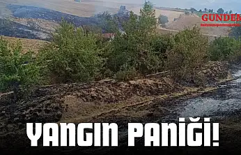 Yangın Paniği!