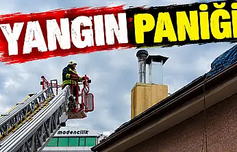 Yangın Paniği
