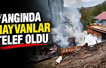 Yangında Hayvanlar Telef Oldu