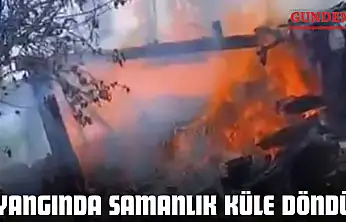 Yangında Samanlık Küle Döndü