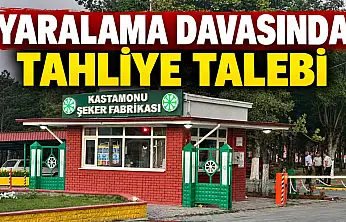 Yaralama Davasında Tahliye Talebi