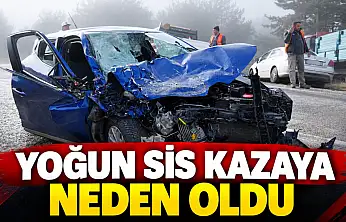 Yoğun Sis Kazaya Neden Oldu