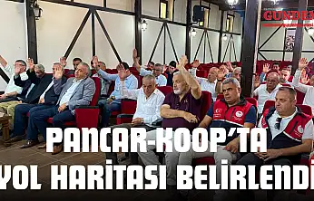 PANCAR-KOOP'ta Yol Haritası Belirlendi