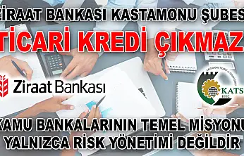 Ziraat Bankası Kastamonu Şubesi Ticari Kredi Çıkmazı Kamu Bankalarının Temel Misyonu Yalnızca Risk Yönetimi Değildir