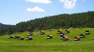 21 Yayla, Eşsiz Doğa