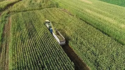 301 Milyon Liralık Tarımsal Destek Çiftçilerin Hesaplarına Yatıyor