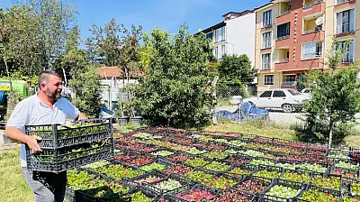 70 Bin Çiçekle Taşköprü Renklenecek