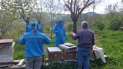 Arıcılara Yerinde Destek