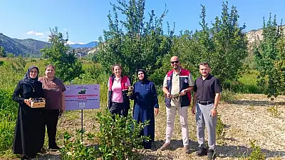 Aronya Üretimi Büyüyor