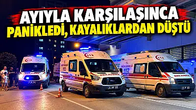 Ayıyla Karşılaşınca Panikledi, Kayalıklardan Düştü