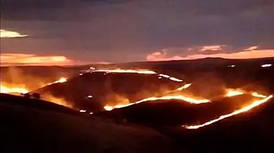 Çankırı'da etkili olan arazi yangını uzun uğraşlar sonucu kontrol altına alındı
