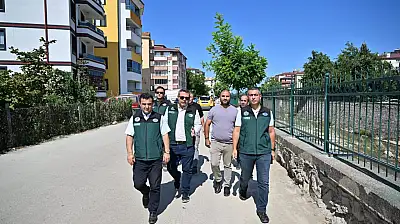 Cide'de Taşkın Kontrol Çalışmaları İncelendi