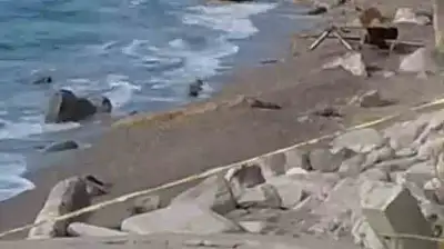 Filyos Sahili'ne askeri amaçlı olduğu değerlendirilen İHA vurdu