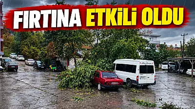 Fırtına Çatıları Uçurdu, Ağaçları Devirdi