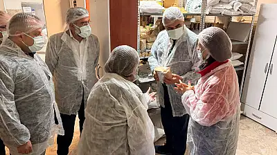 Kastamonu'da Siyez Üretimi Yerinde İncelendi