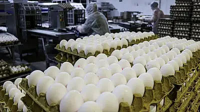 Kuş Gribi Avrupa'nın Yumurta Talebini Türkiye'ye Taşıdı