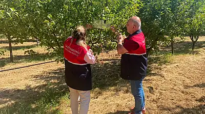 Meyve Bahçelerinde Zararlılara Karşı Tuzaklı Takip Sürüyor