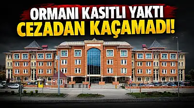 Ormanı Kasıtlı Yaktı, Cezadan Kaçamadı!