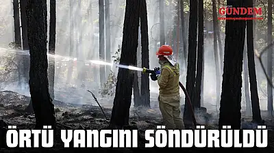 Örtü Yangını Söndürüldü