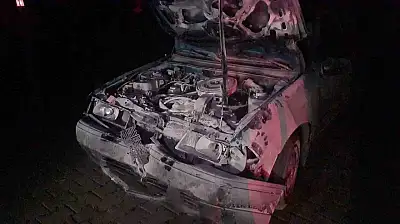 Otomobil karayoluna çıkan 3 mandaya çarptı: 1'i ağır, 2 yaralı