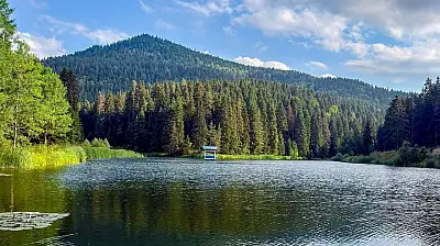 Sinop Akgöl'de sonbahar huzuru