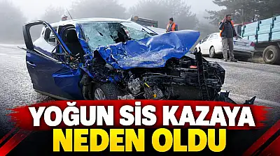 Yoğun Sis Kazaya Neden Oldu